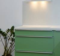 Green kitchen cabinets with a white range hood and a plant in a 2-room apartment.