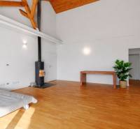 Interior of a building with wood-decor flooring, a fireplace, a table, and a plant.