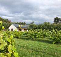 A building in the town of Láb surrounded by greenery and trees, Láb street.