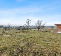 Garden with a wooden shed and trees in Láb on Láb Street, Building.