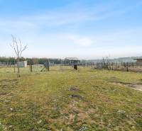 In the yard on Láb Street in Láb, there are fences, trees, and simple shelters.