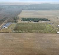 A field with a building in Láb surrounded by forest and plantations on Láb street.