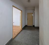 A hallway in a 2-room apartment with a wooden decor floor and entrance door.