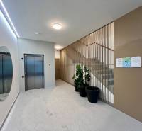 Entrance hall with elevator and staircase, flower pots, mirror, information board.