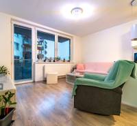 Living room in a two-room apartment with a wooden decor floor, a television, and a sofa.