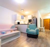 Living room in a two-room apartment with a wooden decor floor and a kitchenette.