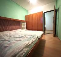 Studio apartment with built-in wardrobes, green walls, and a floor with a wood decor.