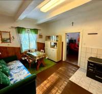 The interior of a cabin with a comfortable sofa, dining table, and wooden decor flooring.