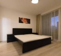 Bedroom in a two-room apartment with a bed, painting, and large window.