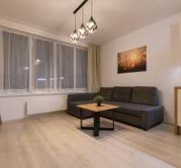 Living room in a two-room apartment with a sofa, wood-patterned flooring, and pendant lighting.