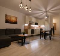 Living room with a corner sofa, kitchenette, and wooden decor flooring in a two-room apartment.