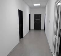 A hallway in offices with white walls and dark doors, a floor with a wooden decor.