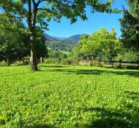 A beautiful garden by the cottage on Vrátňanská Street in Terchová, surrounded by greenery and trees.