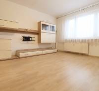 Living room with a large window and wood-patterned flooring, 3-room apartment.
