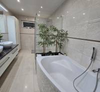 Bathroom with a bathtub, plants, shower, and tiles in a family house.