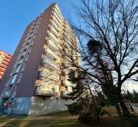 An apartment building on Štefánikova Street in Senica, surrounded by trees and lawn.