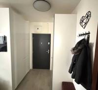 Entrance hallway in a 2-room apartment with wood-patterned flooring and hanging coat racks.