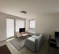 Living room in a two-room apartment with a sofa, television, and wood-patterned flooring.
