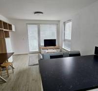 Living room with a dining area, sofa, and wood-patterned flooring in a two-room apartment.