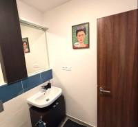 Bathroom with a sink, mirror, painting, and floor in a 2-room apartment.