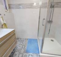 Bathroom in a family house with a sink, shower cabin, and tiles with a decorative pattern.