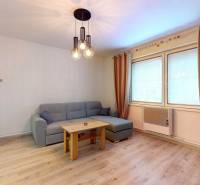 Living room with wood-patterned flooring in a family house, gray sofa, two windows, curtains.