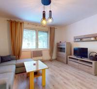 Living room in a family house with a comfortable sofa, television, and wooden decor flooring.