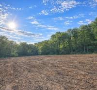 Sunny agricultural and forest lands in Hrušov surrounded by dense forest and blue sky.