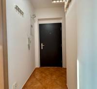 Entrance hallway with dark doors in a 2-room apartment, white walls and tiles.