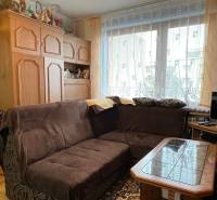 Living room in a studio apartment with a dark sofa, cabinets, and wooden decor flooring.