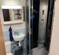 Compact bathroom with a toilet, sink, and shower in a studio apartment.