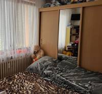 Bedroom in a studio apartment with a bed, a wardrobe with a mirror, and a plush teddy bear.