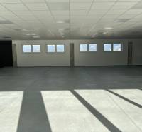 Spacious commercial spaces with large windows and concrete floors, illuminated by natural light.