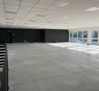 Spacious commercial spaces with large windows and concrete flooring.