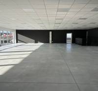 Spacious commercial spaces with large windows and concrete flooring.