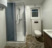 A bathroom in a family house with a modern shower, wooden decor flooring, and white walls.