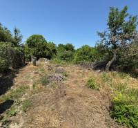 A garden at a family house in Mužla with lush vegetation and natural elements.