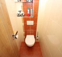 A small bathroom in a two-room apartment with a toilet, decorative elements, and storage shelves.