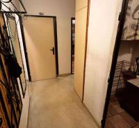 A narrow hallway in a 2-room apartment with a coat rack and built-in wardrobes.