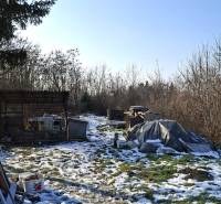 A snowy yard of a family house in Žitavce, surroundings with trees and a folding shelter.