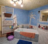 A bathroom in a family house with a corner bathtub, a blue wall, and a decorative palm.