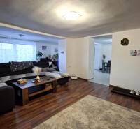 Living room in a family house with wood-patterned flooring, a convertible sofa, and decorations.