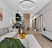 A stylish living area with a sofa, wood-patterned flooring, and an open kitchen in a 2-room apartment.