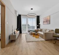 Living room in a two-room apartment with a sofa, decorative table, and wooden decor flooring.