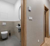 Bathroom in a 2-room apartment with gray tiles and a wooden decor floor.