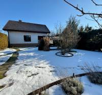 A family house in Tvrdomestice with a snowy yard surrounded by coniferous trees and shrubs.