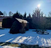 Winter garden at a family house in Tvrdomestice with snow-covered lawn and trees.