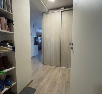 A hallway in a 2-room apartment with a wooden decor floor and a built-in wardrobe.