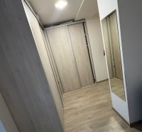 A hallway with a wooden decor floor and a built-in wardrobe in a 2-room apartment.