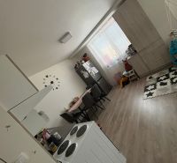 A kitchen in a 2-room apartment with a dining table and a floor with a wood decor.